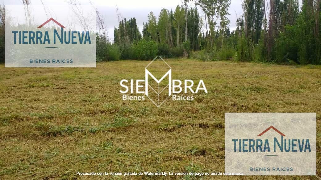 Foto de Terreno en Cipolletti, imagen 3