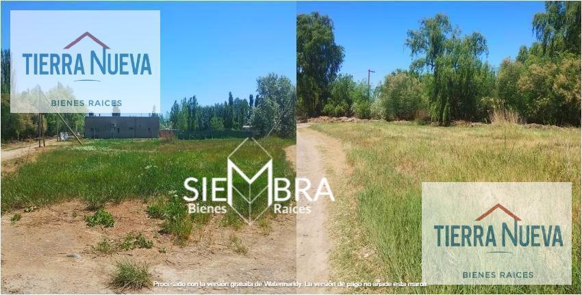 Foto de Terreno en Cipolletti, imagen 2