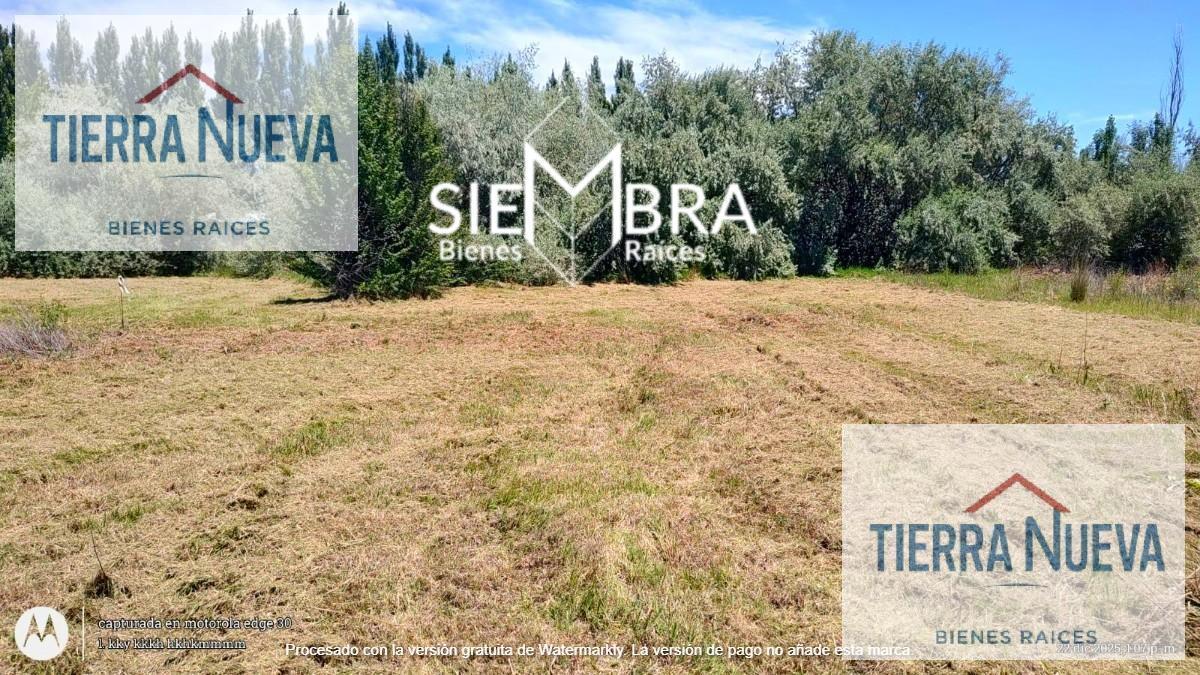 Foto de Terreno en Cipolletti, imagen 4