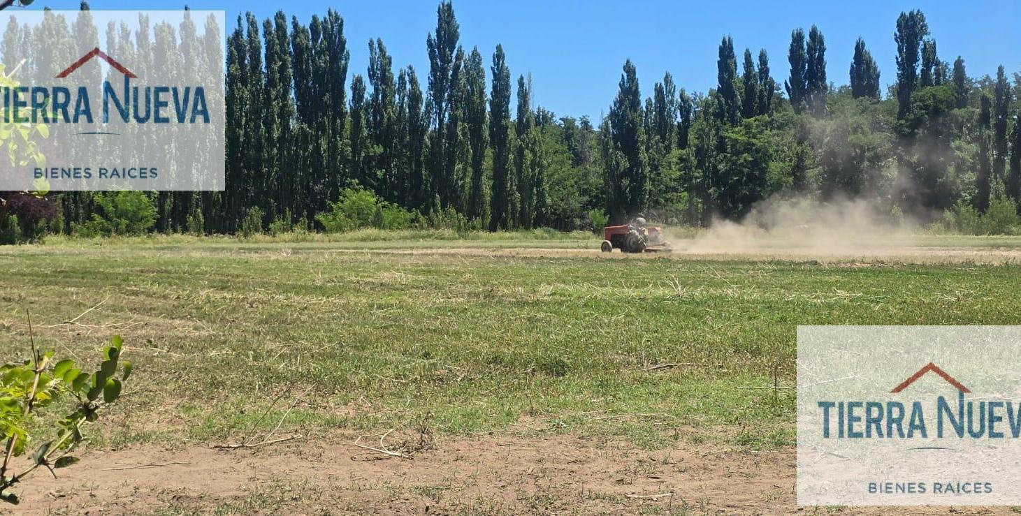 Foto de CHACRA COSTA RIO LIMAY PLOTTIER, imagen 3