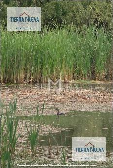 Foto de Terreno en Capital Zona La Zagala, la Peregrina, imagen 5