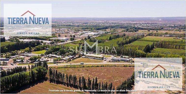 Foto de Chacra en Chacras De Allen, imagen 5