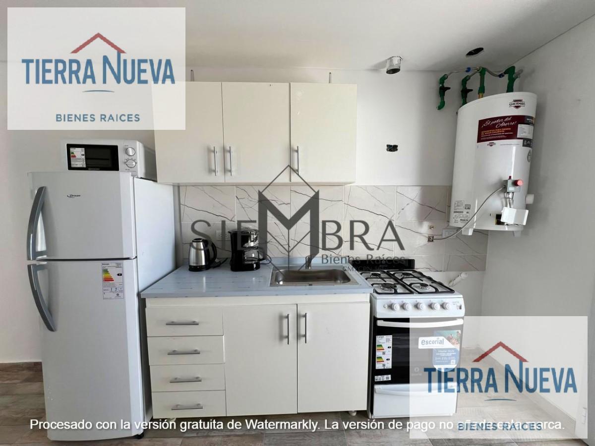 Foto de Departamento en Añelo, imagen 5