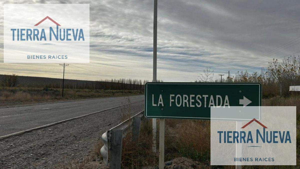 Foto de LA FORESTADA AÑELO, imagen 3