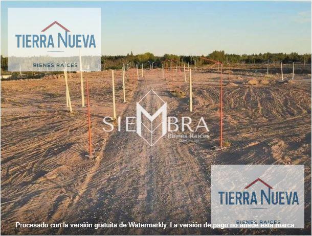Foto de LOTE 11 MANZANA MANZANA 7 VISTA ALEGRE, imagen 3