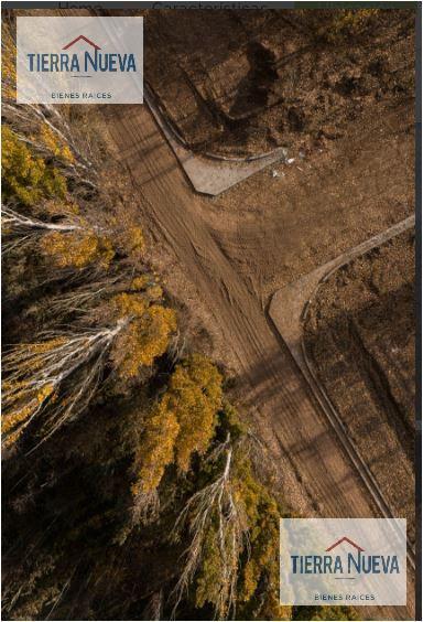Foto de Terreno en Centenario, imagen 1
