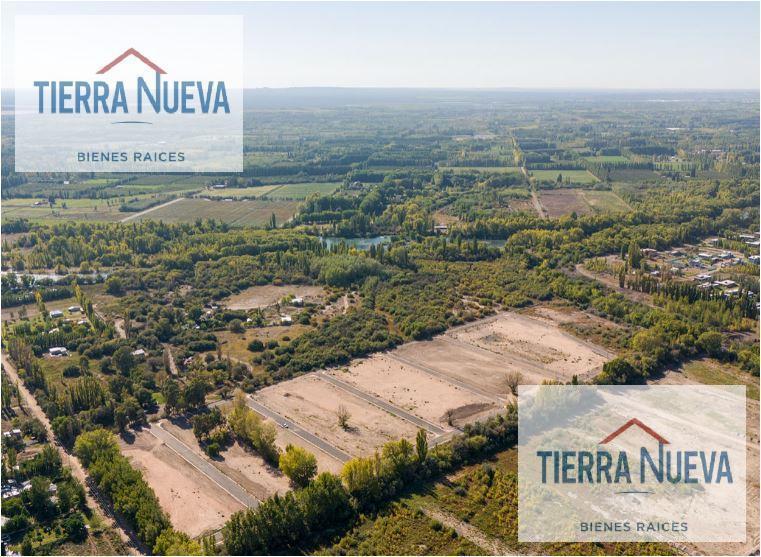 Foto de Terreno en Centenario, imagen 3