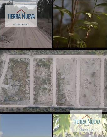 Foto de Terreno en Centenario, imagen 5