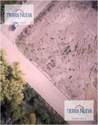 Foto de Terreno en Centenario, imagen 4