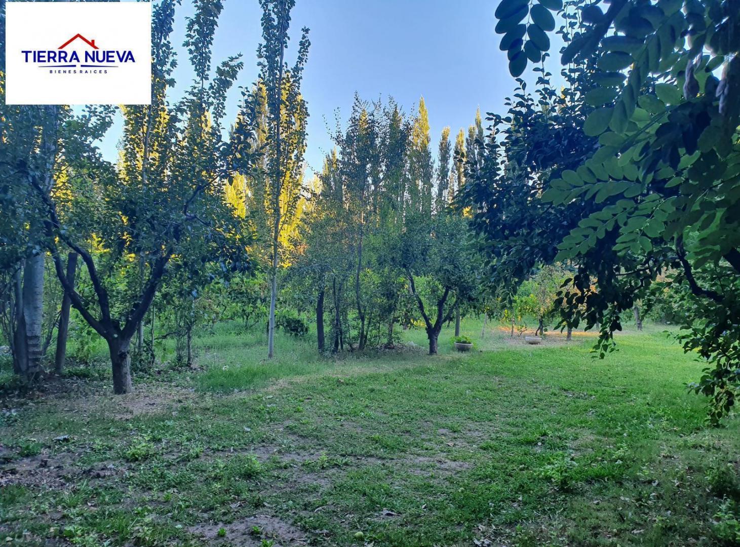 Foto de 1.6 HECTAREAS EN VENTA BARRIO CANALES DE PLOTTIER, imagen 2