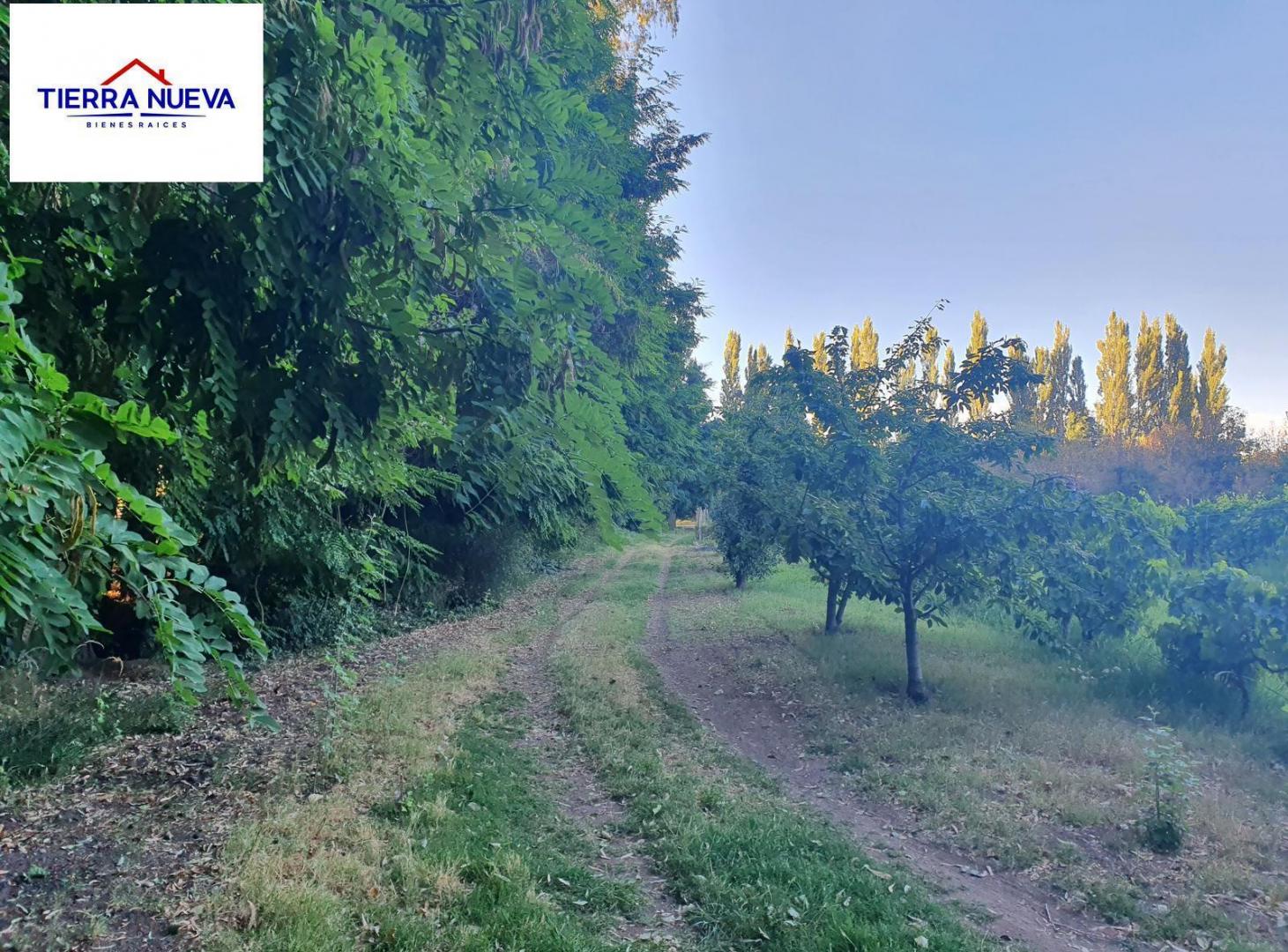 Foto de 1.6 HECTAREAS EN VENTA BARRIO CANALES DE PLOTTIER, imagen 4