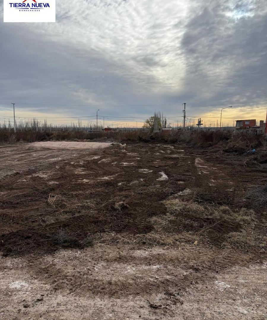 Foto de LOTE EN VENTA – LOTEO DON FEDERICO – ALLEN, RÍO NEGRO, imagen 3