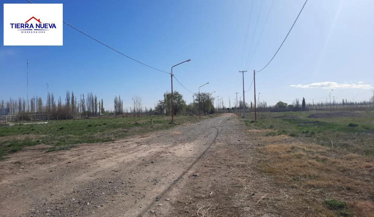 Foto de LOTE EN VENTA – LOTEO DON FEDERICO – ALLEN, RÍO NEGRO, imagen 1