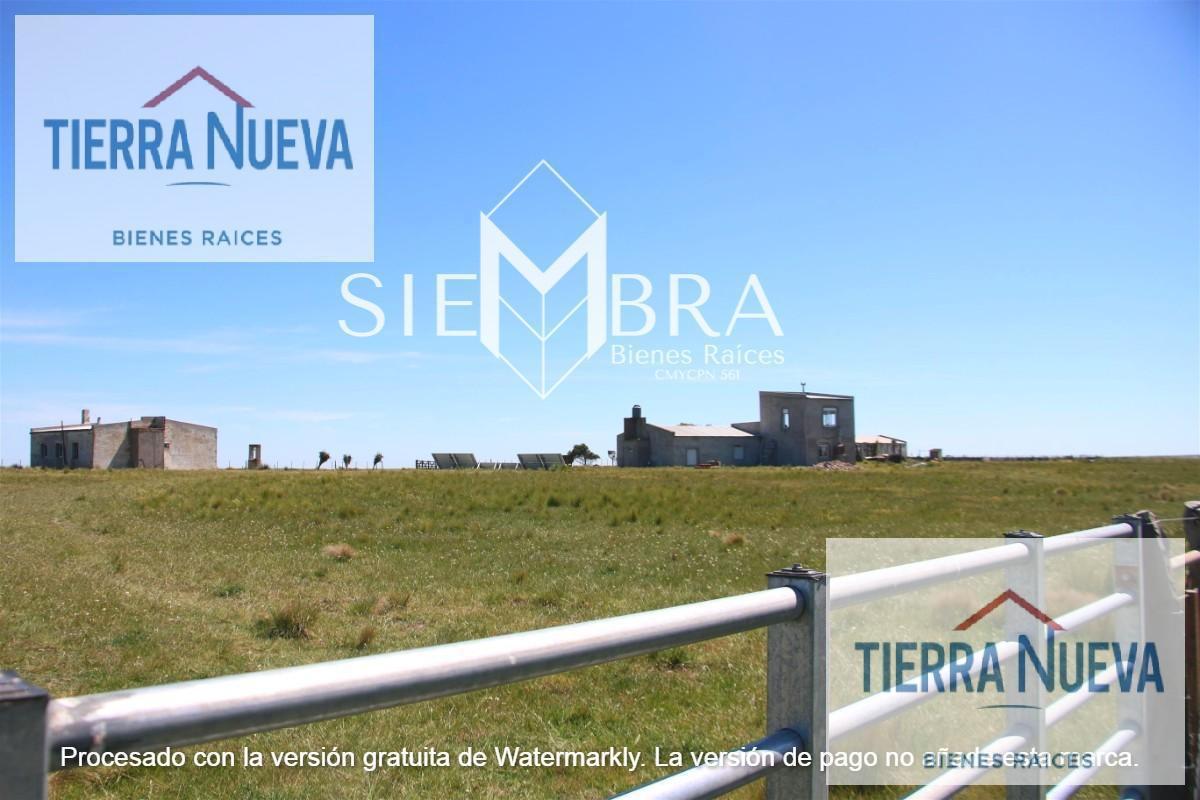 Foto de Campo en Bahia Blanca, imagen 3