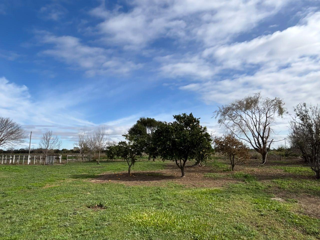 Foto de CASA DE CAMPO EN ESPERANZA, imagen 3