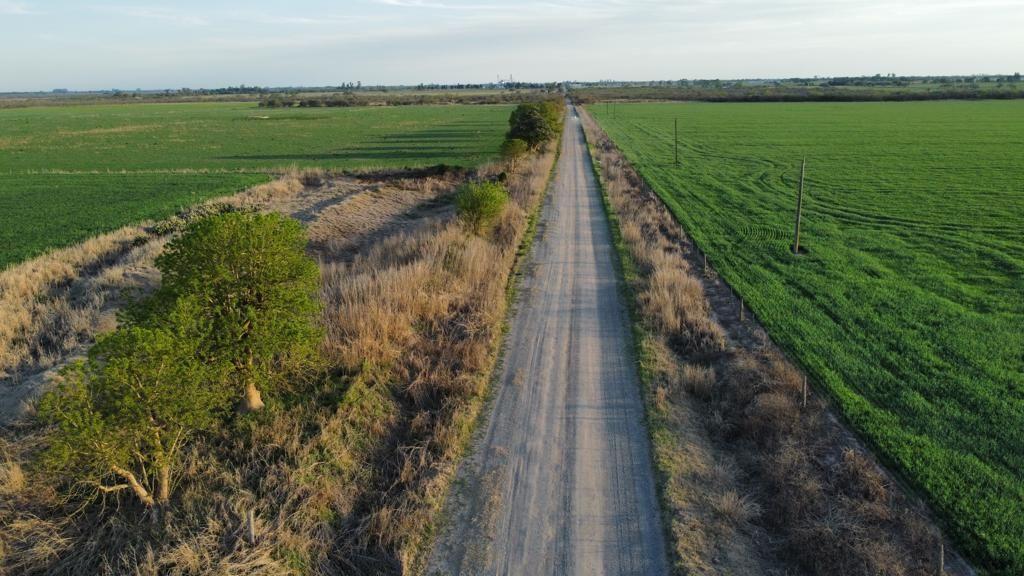 Foto de Campo . | Humboldt, imagen 2