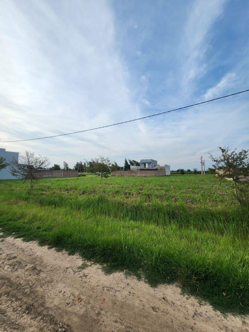 Foto de Lote . | Santa Cruz al s00, imagen 1
