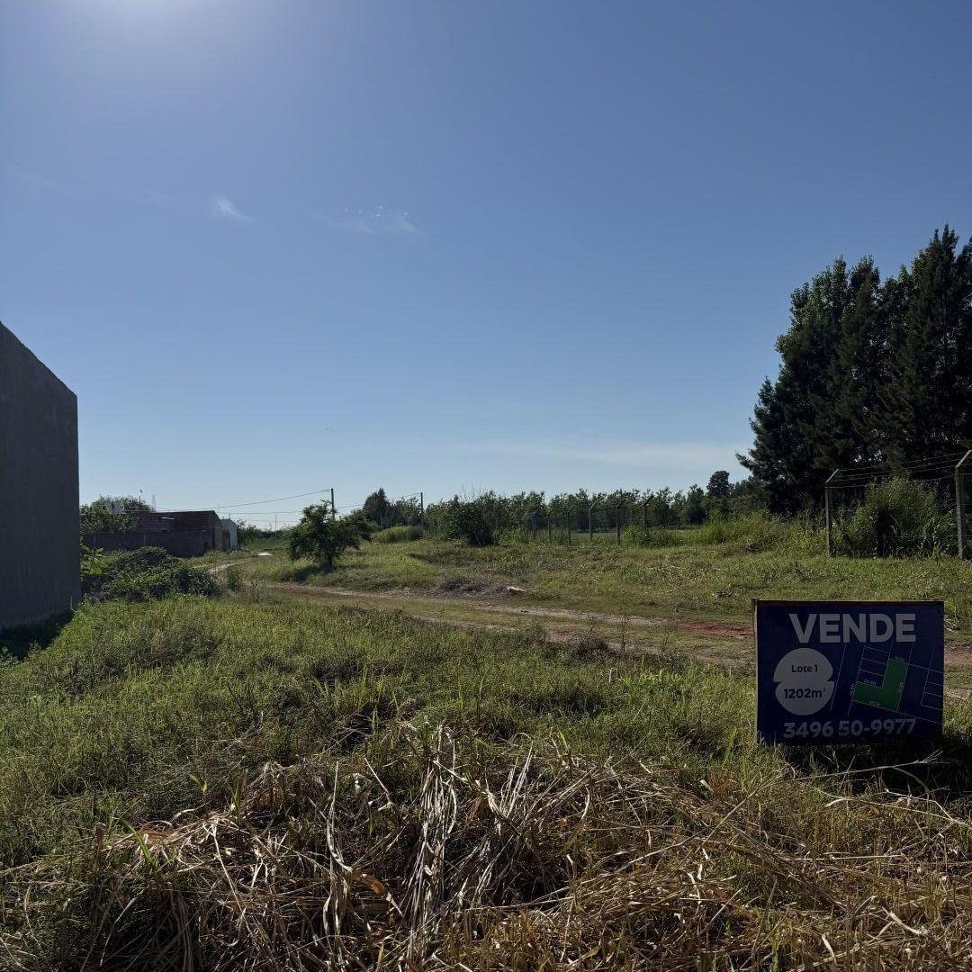 Foto de Lote . | Rivadavia, imagen 4