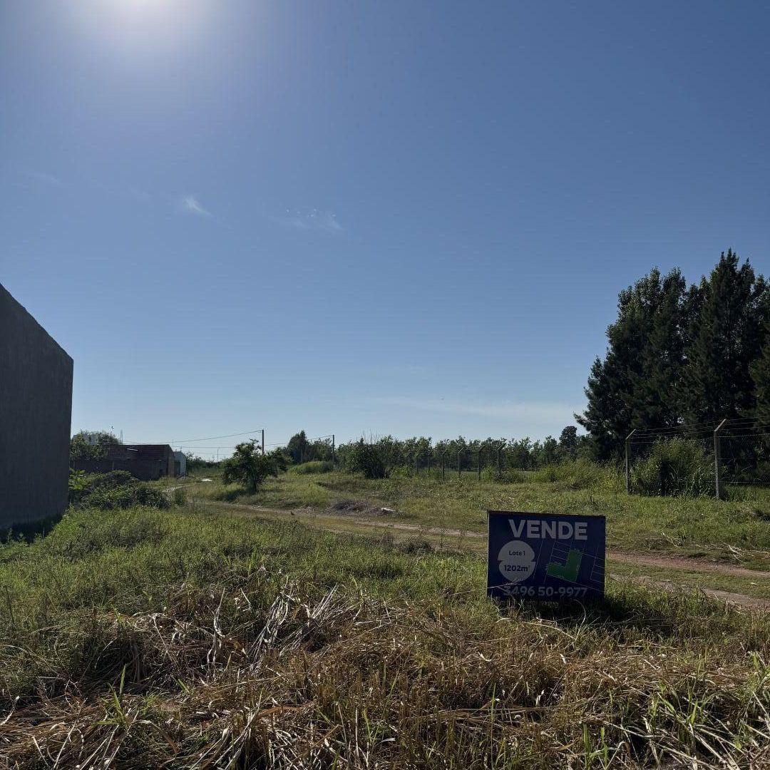 Foto de Lote . | Rivadavia, imagen 2