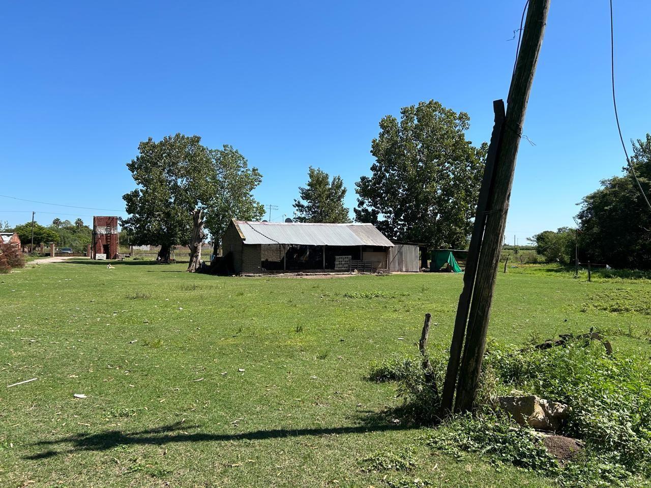 Foto de Campo . | Publica al s/nume00, imagen 3