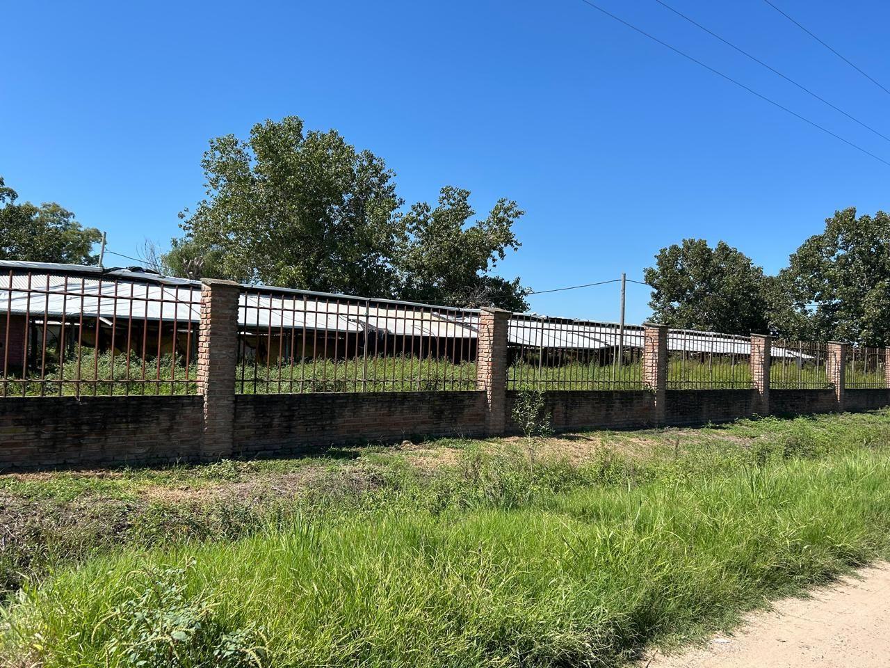 Foto de Campo . | Publica al s/nume00, imagen 4