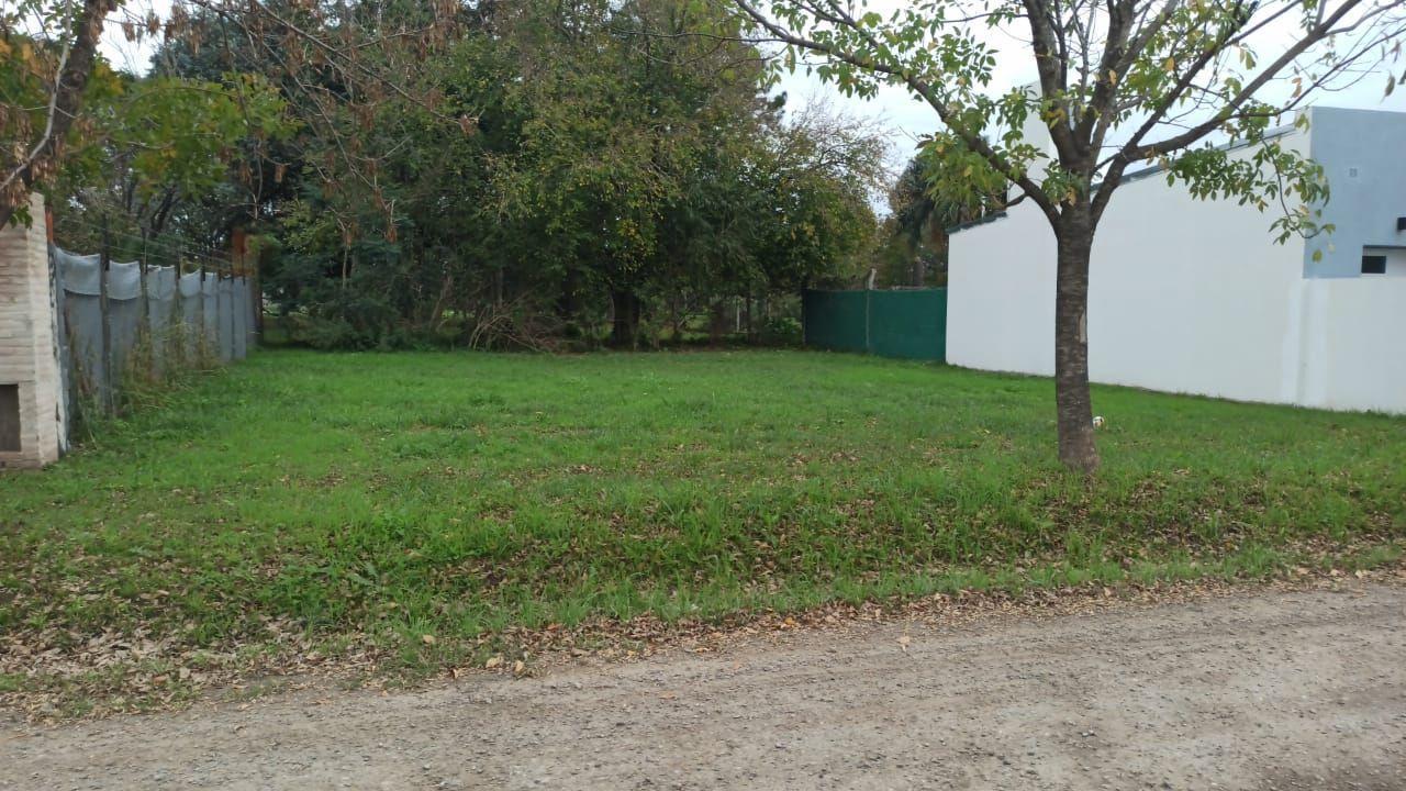 Foto de Lote . | reant al 2500, imagen 1