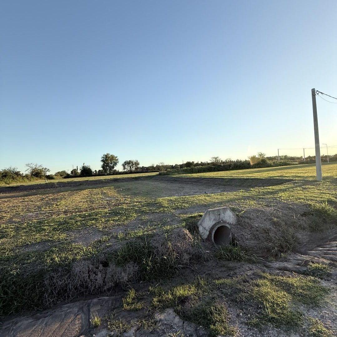 Foto de Lote . | Terragni al 900, imagen 4