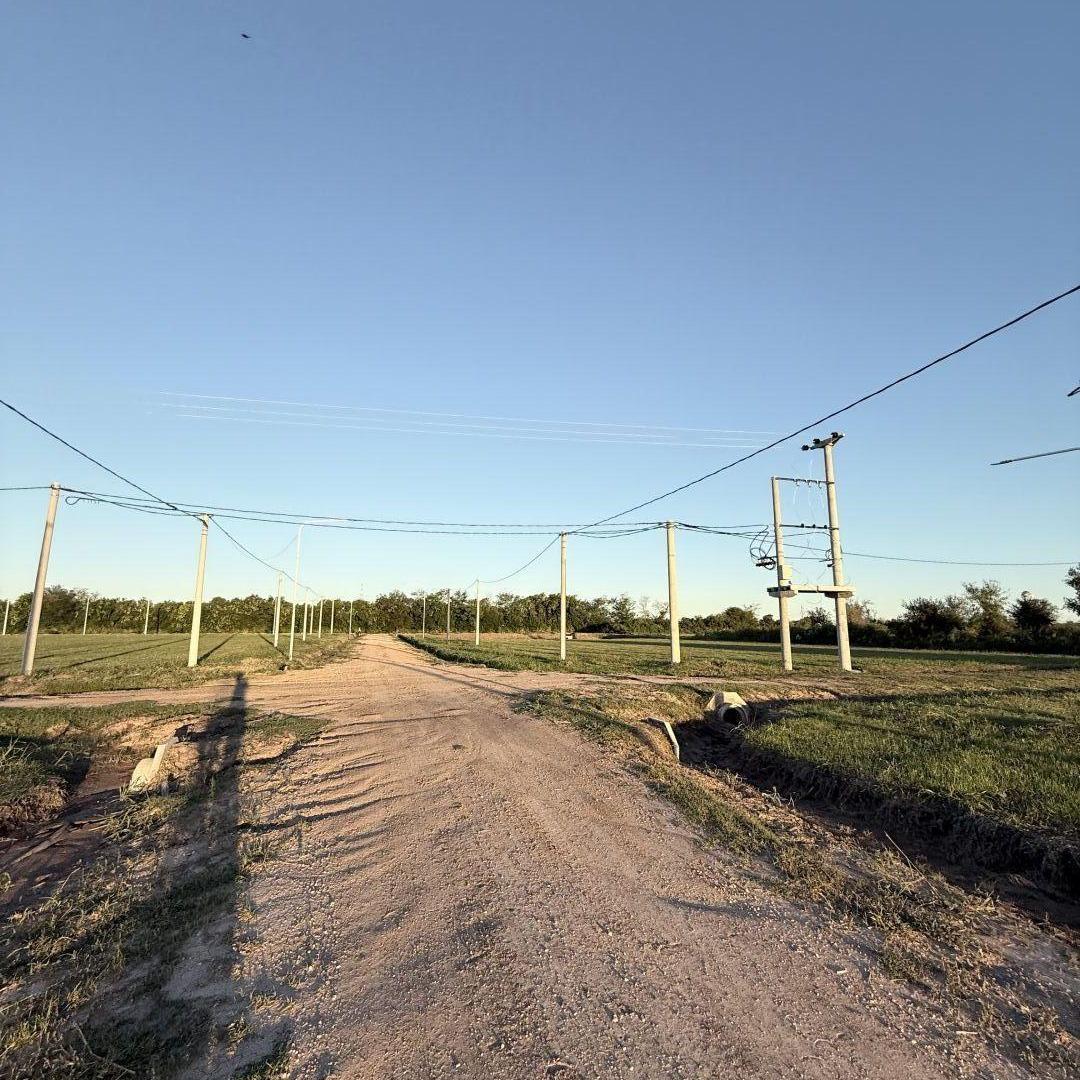 Foto de Lote . | Terragni al 900, imagen 3