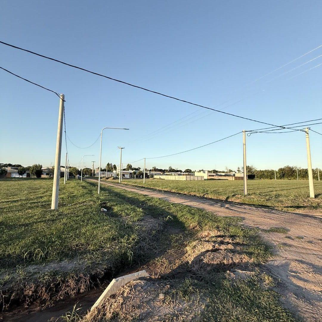 Foto de Lote . | Terragni al 900, imagen 3
