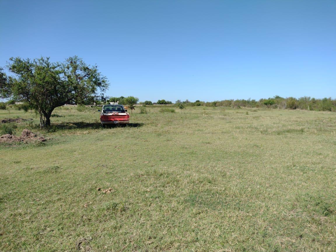Foto de 1 ha en venta!!!!, imagen 1