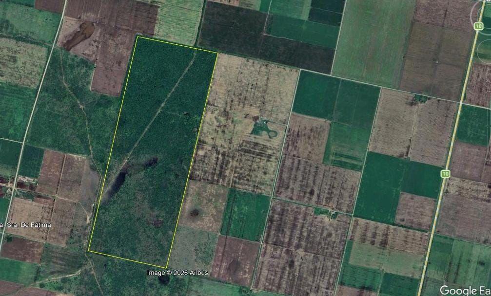 Foto de Campo 165 hectáreas | . | Zona Rural, imagen 1