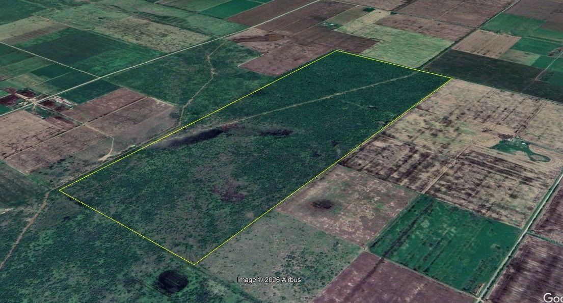 Foto de Campo 165 hectáreas | . | Zona Rural, imagen 5