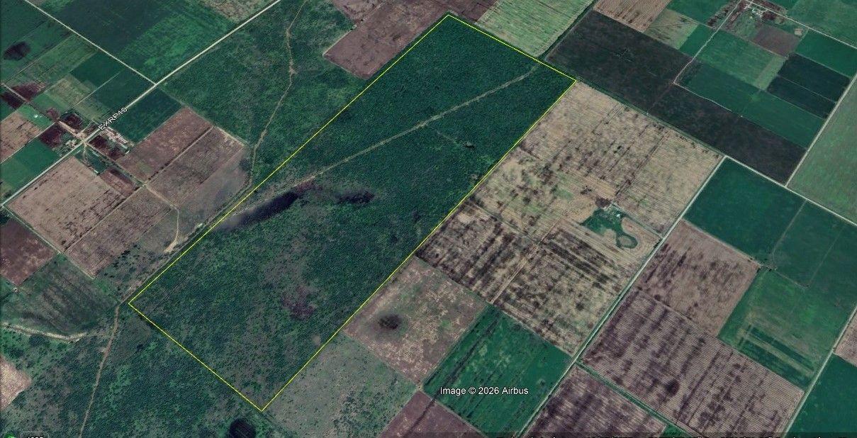 Foto de Campo 165 hectáreas | . | Zona Rural, imagen 4