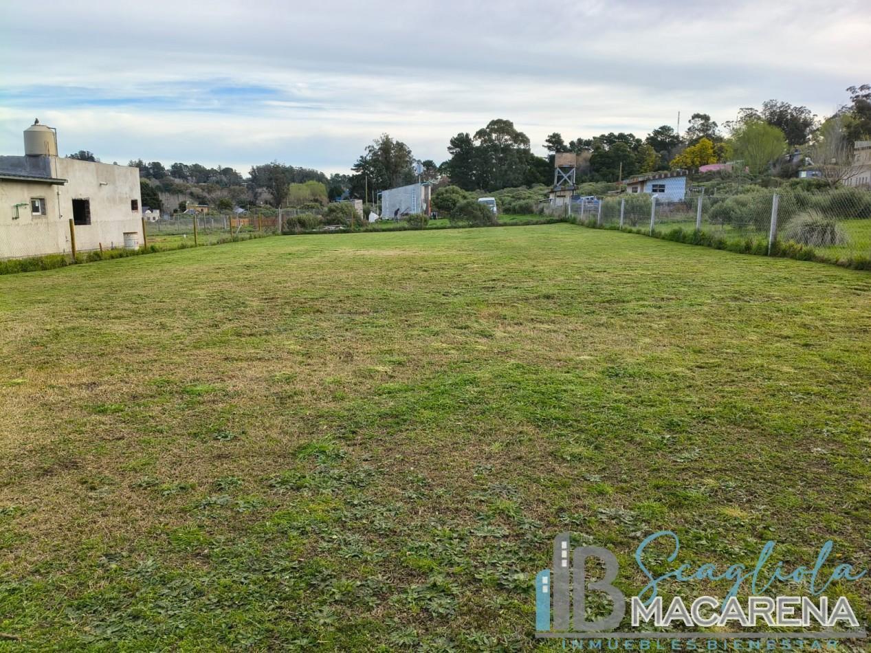 Foto de VENTA LOTE SIERRA DE LOS PADRES, imagen 2