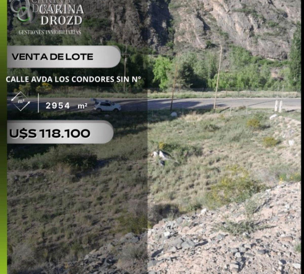 Foto de Terreno / Lote en venta de 2954m2 ubicado en Potrerillos, imagen 3