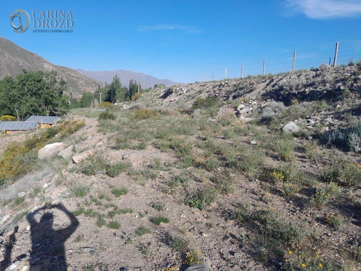 Foto de Terreno / Lote en venta de 2954m2 ubicado en Potrerillos, imagen 2