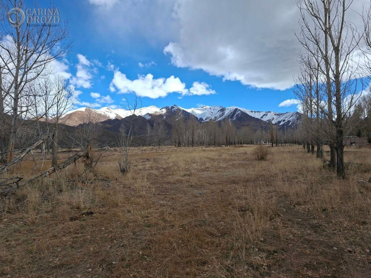 Foto de Terreno / Lote en venta de 12.38ha ubicado en Uspallata, imagen 4