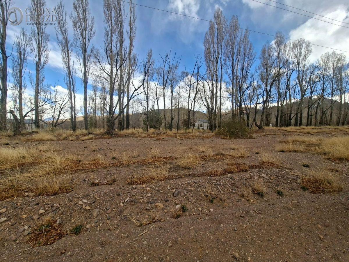 Foto de Terreno / Lote en venta de 12.38ha ubicado en Uspallata, imagen 3