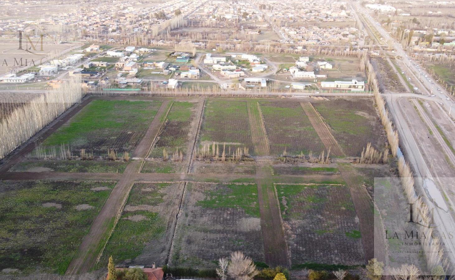 Foto de Venta terrenos 600m2, La Clarinda, Cipolletti, imagen 3