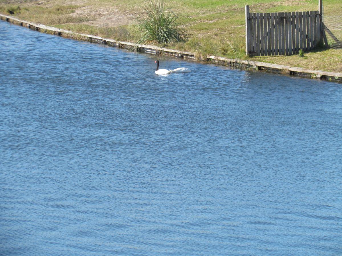 Foto de Excelente lote en esq al Agua, imagen 4