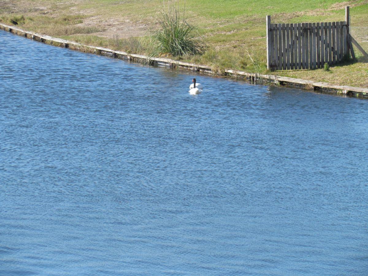 Foto de Excelente lote en esq al Agua, imagen 1