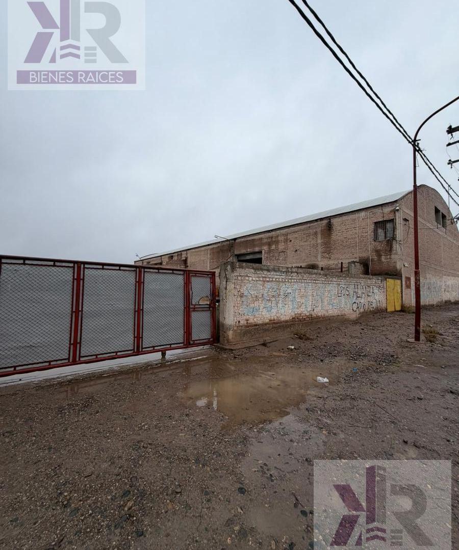 Foto de Local en Centenario, imagen 5