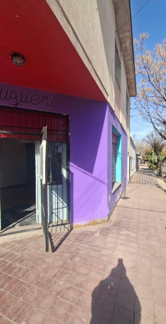 Foto de LOCAL COMERCIAL EN VENTA EN LAS HERAS CALLE AVELLANEDA ESQUINA FRANCIA, imagen 3