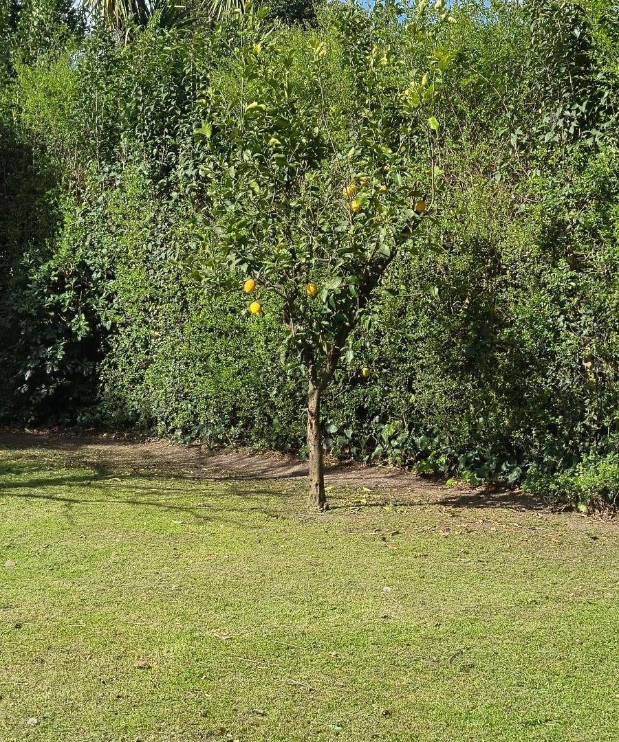 Foto de Venta de terreno, imagen 4