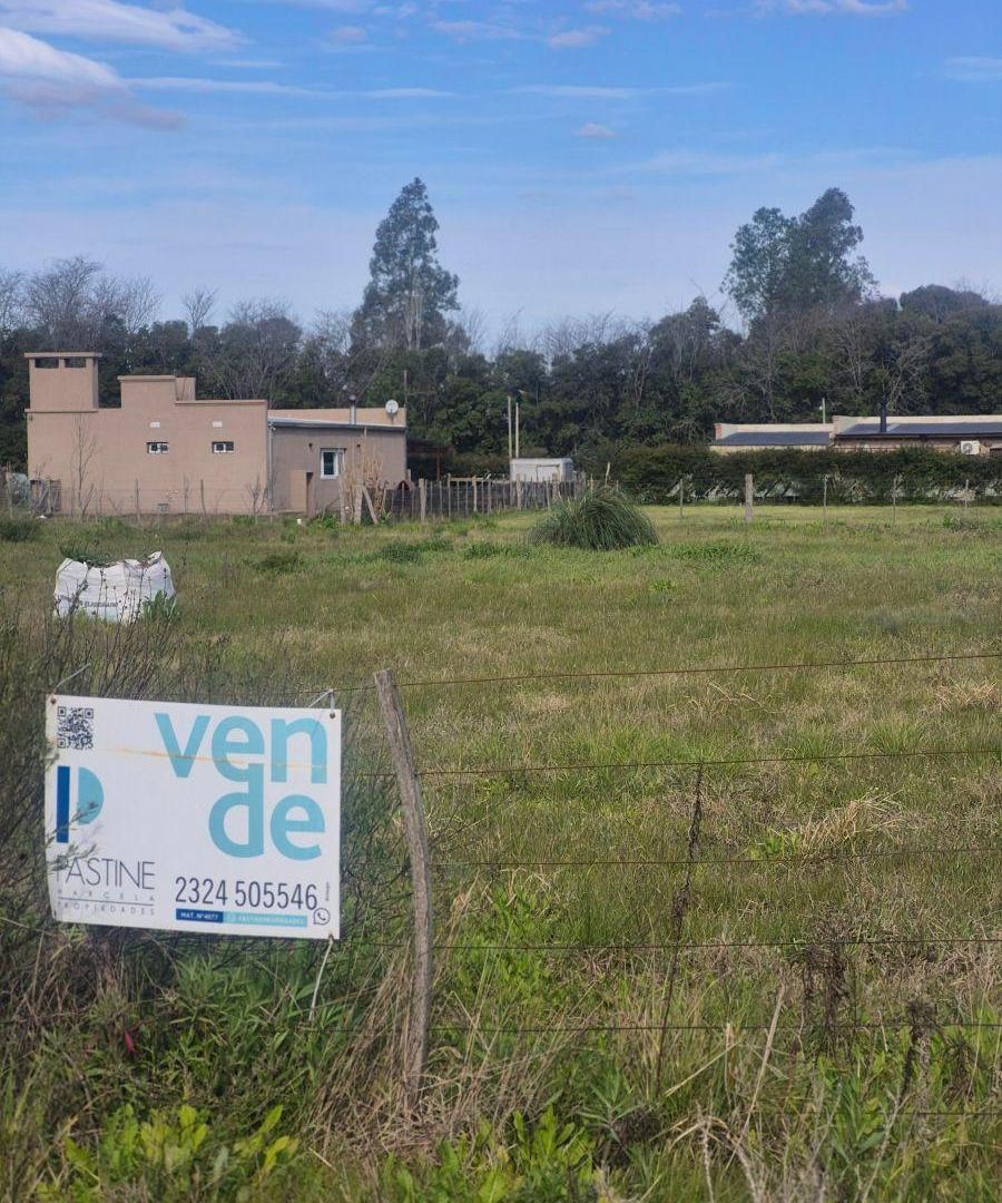 Foto de Se vende importante terreno, imagen 2