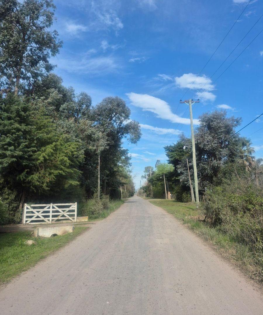Foto de Se vende importante terreno, imagen 1