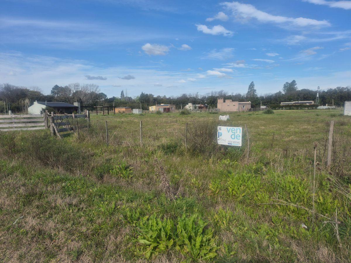Foto de Se vende importante terreno, imagen 3