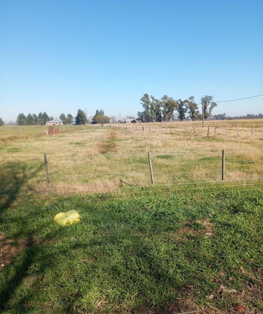 Foto de Se vende parcela de 5 hectáreas, imagen 2