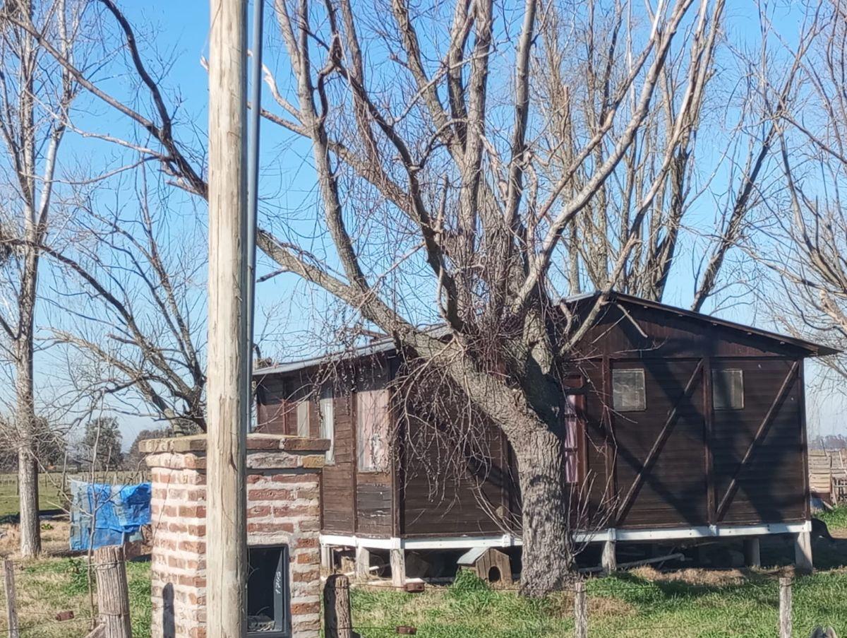 Foto de Se vende parcela de 5 hectáreas, imagen 5