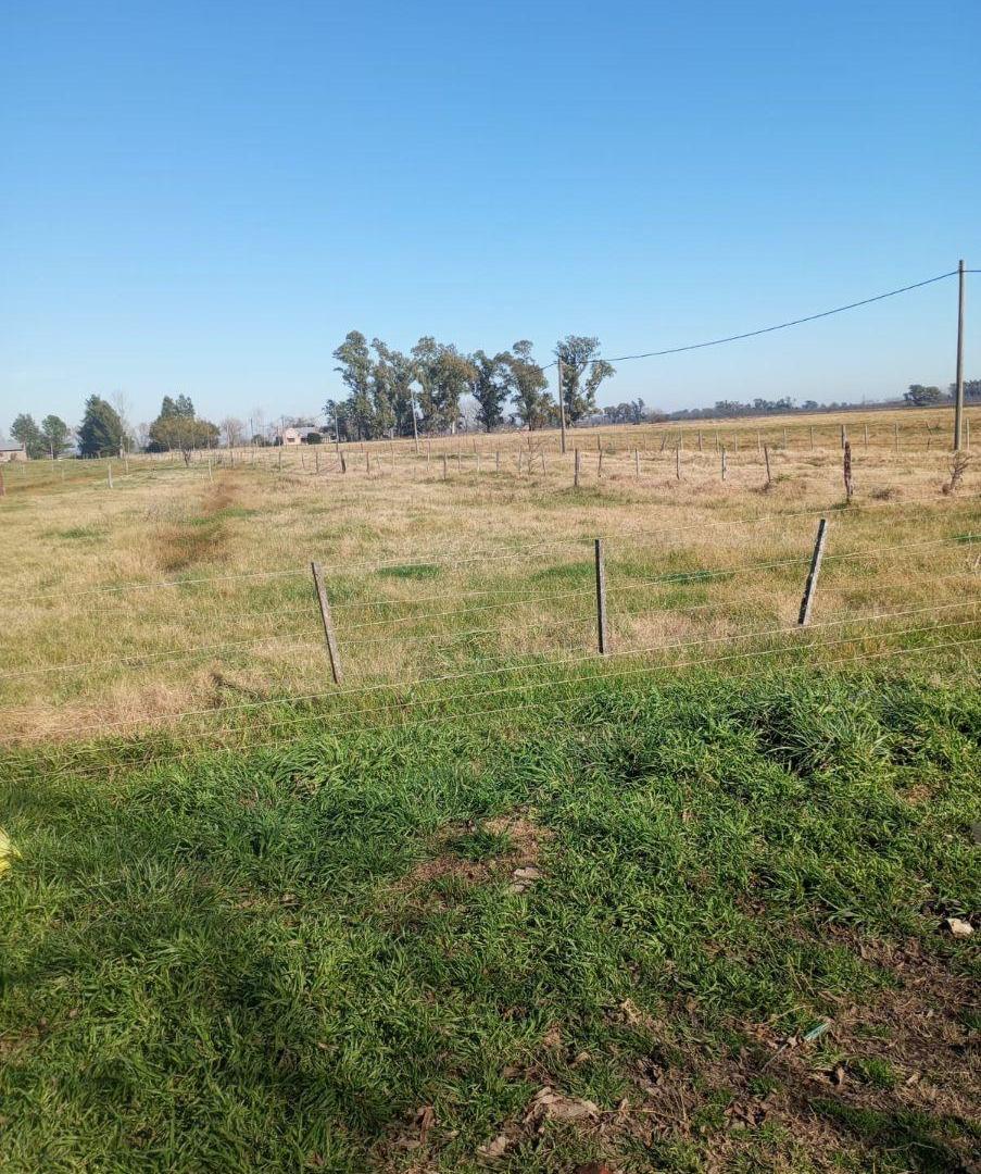 Foto de Se vende parcela de 5 hectáreas, imagen 4